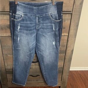 NWT JAG Jeans High Rise Skinny Capri Sz 14